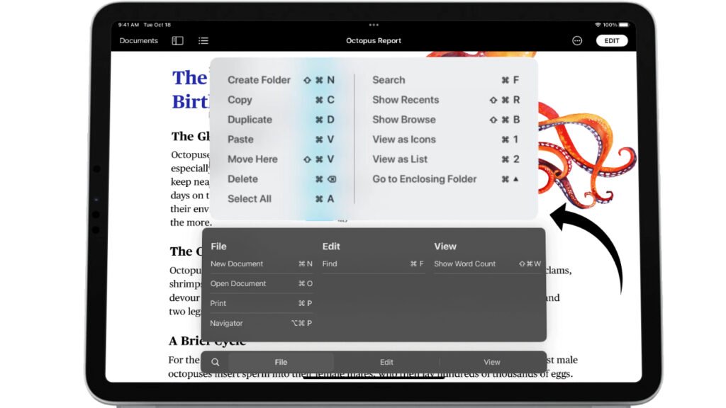 iPad Keyboard Shortcuts: Quick Ways to Do Things with Your Keyboard