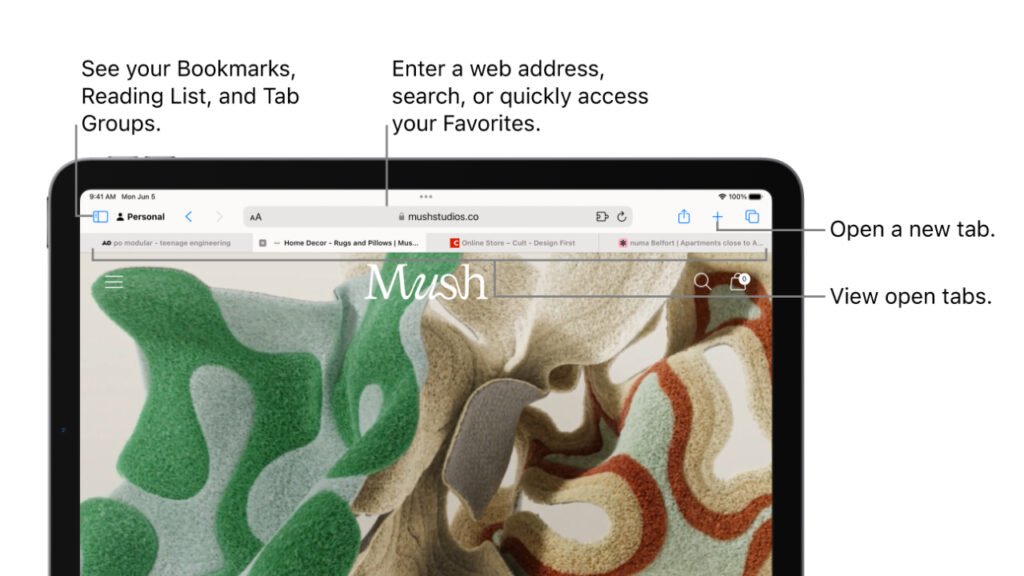 Surfing Smarter: Easy Safari Browser Tips for Your iPad